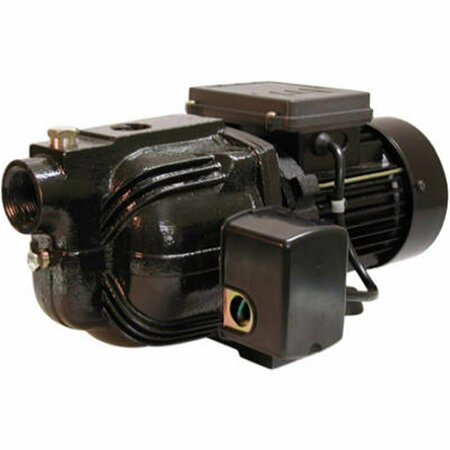 EXCELLENT APPLIANCES Flint & Walling-Star Water SJ05S 0.5 Shallow Well Jet Pump EX3246922